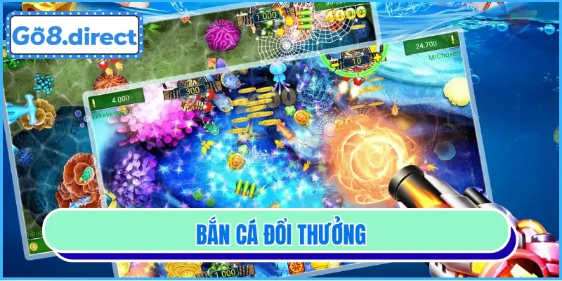 Tin tức