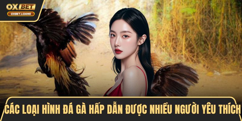 Đá Gà Tre - Cùng Tìm Hiểu Luật Chơi Và Bí Quyết Thắng