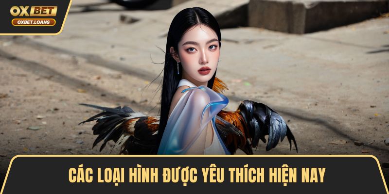 Các Loại Hình Đá Gà Phổ Biến Và Cách Chơi Hiệu Quả