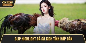 Tin Tức Giúp Người Chơi Làm Chủ Chiến Lược Cá Cược