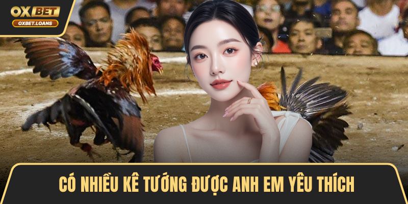 Gà Chiến Nào Đáng Chú Ý Nhất 2026 Cho Dân Đam Mê Đá Gà