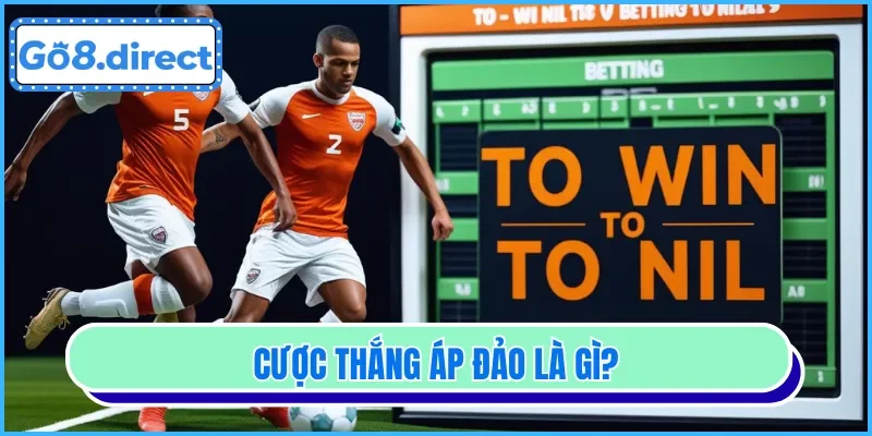 Tin tức