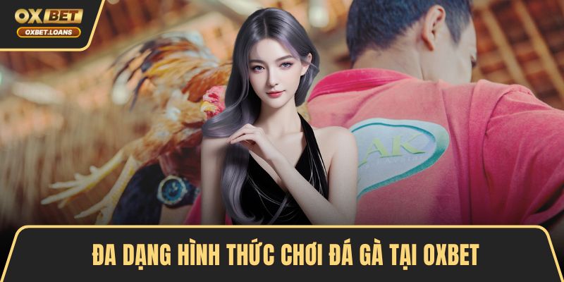 Đá Gà OXBET – Đỉnh Cao Cá Cược, Trải Nghiệm Kịch Tính