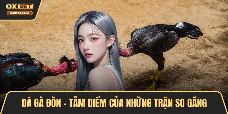 Đá Gà Tre - Cùng Tìm Hiểu Luật Chơi Và Bí Quyết Thắng
