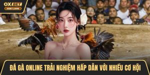 Đá Gà OXBET – Đỉnh Cao Cá Cược, Trải Nghiệm Kịch Tính