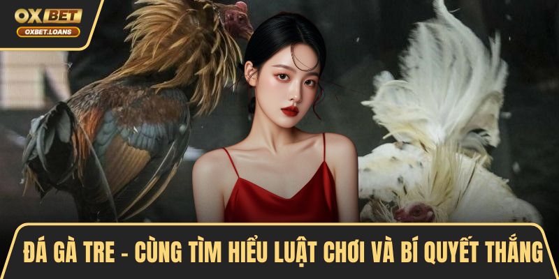 Đá Gà Tre - Cùng Tìm Hiểu Luật Chơi Và Bí Quyết Thắng