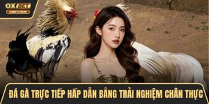 Đá Gà OXBET – Đỉnh Cao Cá Cược, Trải Nghiệm Kịch Tính