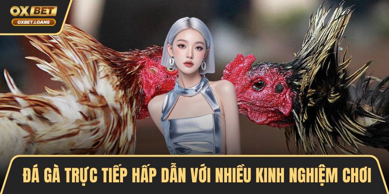 Đá Gà Tre - Cùng Tìm Hiểu Luật Chơi Và Bí Quyết Thắng