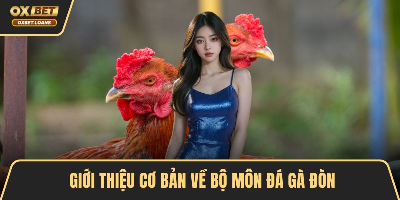 Đá Gà Đòn – Tâm Điểm Của Những Trận So Găng Kịch Tính