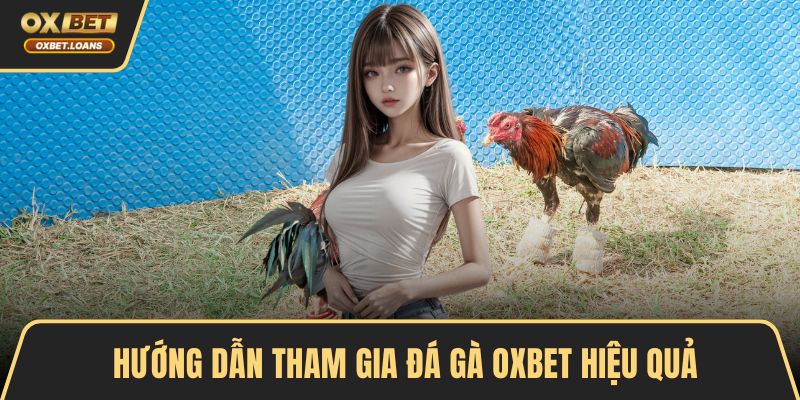 Đá Gà OXBET – Đỉnh Cao Cá Cược, Trải Nghiệm Kịch Tính