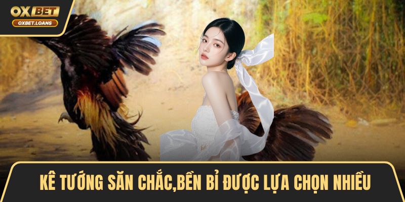 Gà Chiến Nào Đáng Chú Ý Nhất 2026 Cho Dân Đam Mê Đá Gà