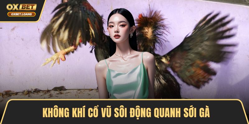 Các Loại Hình Đá Gà Phổ Biến Và Cách Chơi Hiệu Quả