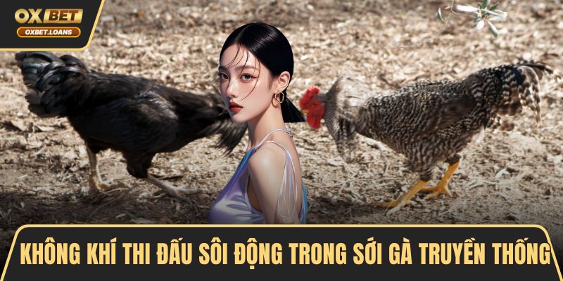 Các Loại Hình Đá Gà Phổ Biến Và Cách Chơi Hiệu Quả