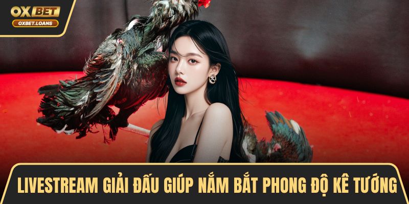 Gà Chiến Nào Đáng Chú Ý Nhất 2026 Cho Dân Đam Mê Đá Gà