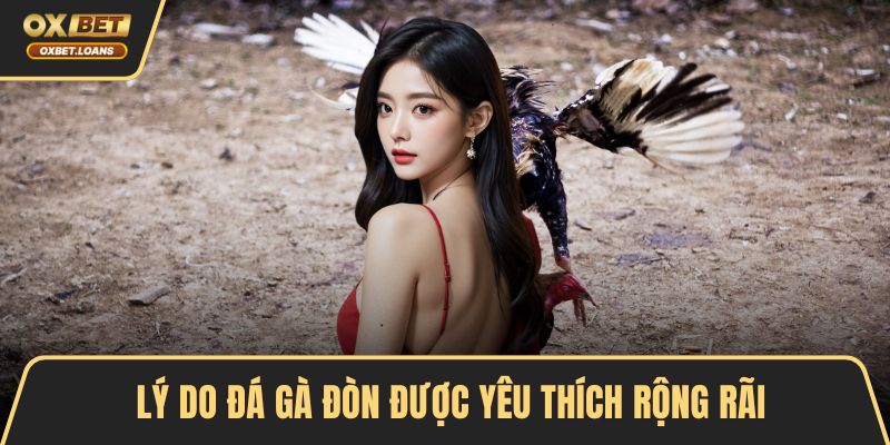 Đá Gà Đòn – Tâm Điểm Của Những Trận So Găng Kịch Tính