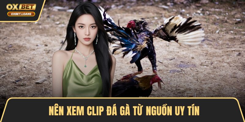 Clip Highlight Đá Gà Kịch Tính Hấp Dẫn Không Thể Bỏ Qua