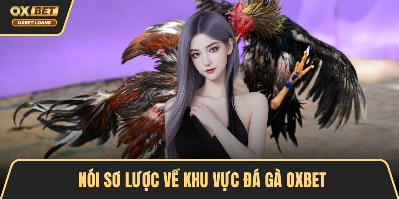 Đá Gà OXBET – Đỉnh Cao Cá Cược, Trải Nghiệm Kịch Tính