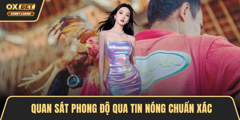 Tin Nóng Trường Gà Thomo Hấp Dẫn, Bet Thủ Không Nên Lỡ