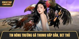 Tin Tức Giúp Người Chơi Làm Chủ Chiến Lược Cá Cược