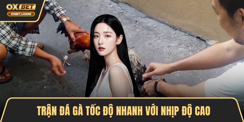 Đá Gà Online Trải Nghiệm Hấp Dẫn Với Nhiều Cơ Hội Thắng