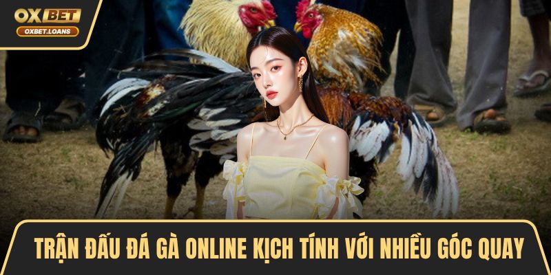 Đá Gà Online Trải Nghiệm Hấp Dẫn Với Nhiều Cơ Hội Thắng