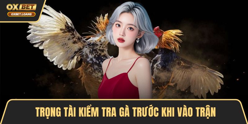 Đá Gà Tre - Cùng Tìm Hiểu Luật Chơi Và Bí Quyết Thắng