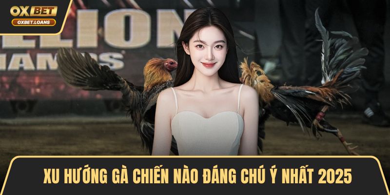 Gà Chiến Nào Đáng Chú Ý Nhất 2026 Cho Dân Đam Mê Đá Gà