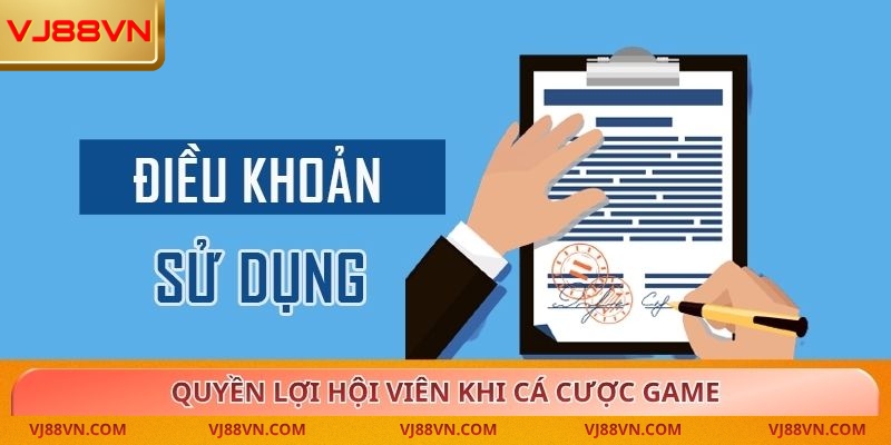 Điều Khoản Sử Dụng VJ88: Hướng Dẫn Toàn Diện Cho Người Chơi