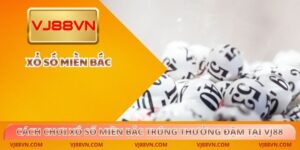 Xổ số - brixo.blog