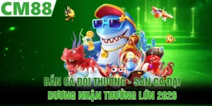 Cẩm Nang Cá Cược Bóng Đá Chuyên Nghiệp Giúp Thắng Lớn 2026