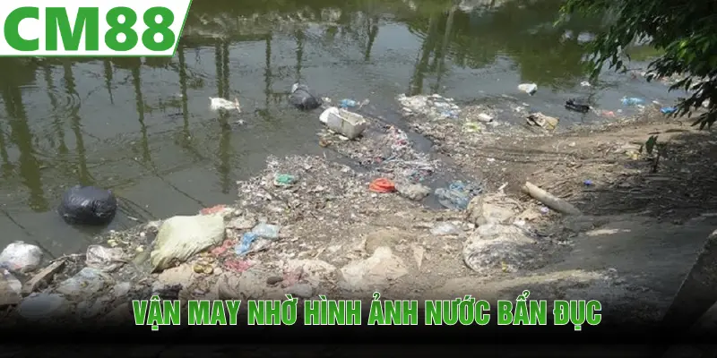Mơ Thấy Nước - Giải Mã Điềm Báo Tâm Linh Và Con Số Tài Lộc